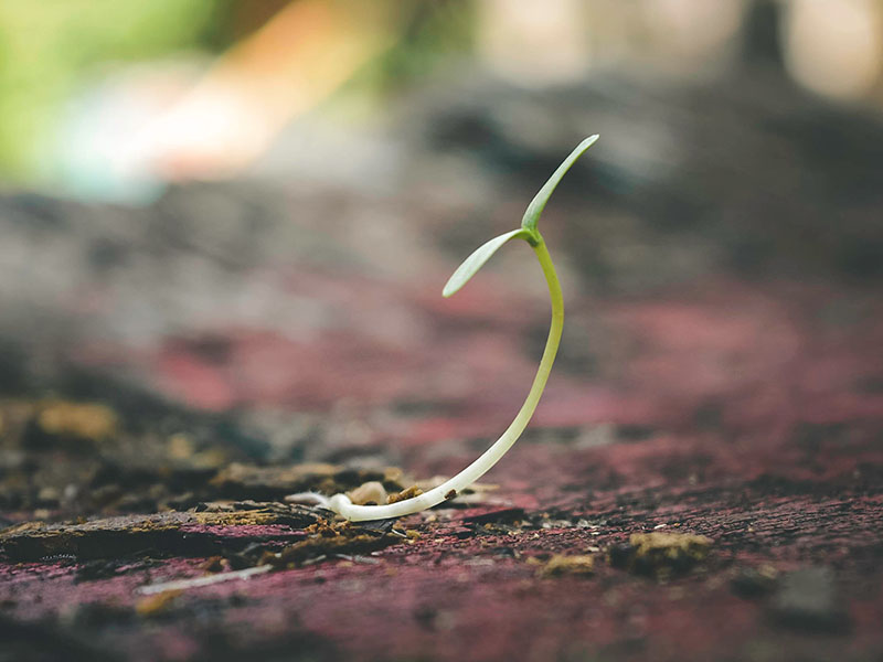 國內(nèi)機床模具行業(yè)具有發(fā)展形勢一片大好